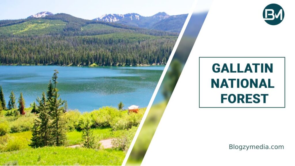 Gallatin National Forest