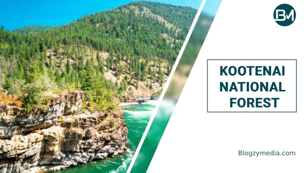 Kootenai National Forest