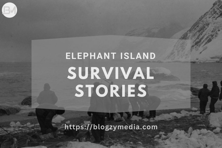 Elephant Island Survival Stories